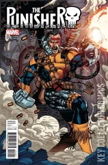 Variant Cover for Punisher #14