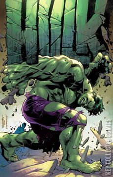 Variant Cover for Hulk #2