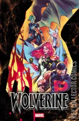 Variant Cover for Wolverine #24
