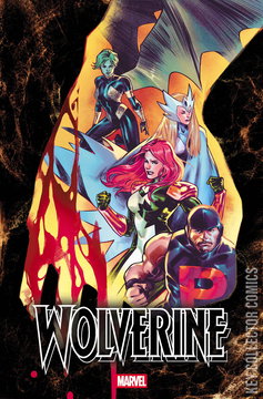 Variant Cover for Wolverine #24