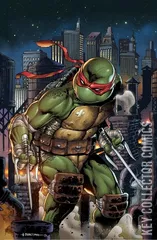 Variant Cover for Teenage Mutant Ninja Turtles #102