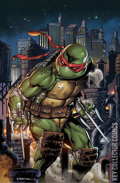 Variant Cover for Teenage Mutant Ninja Turtles #102