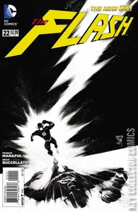Flash #22