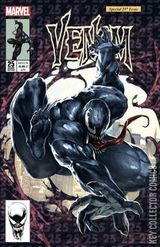 Variant Cover for Venom #25
