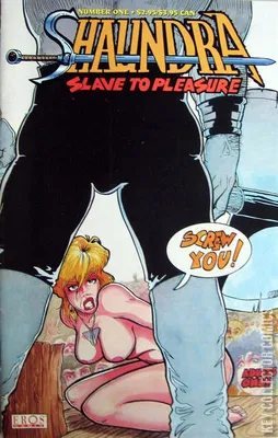 Shaundra: Slave to Pleasure