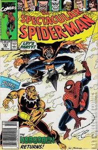 Peter Parker: The Spectacular Spider-Man #161