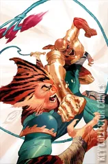 Variant Cover for Thundercats x Silverhawks #5