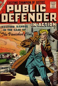 Public Defender in Action #12
