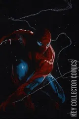 Cover for Amazing Spider-Man #1