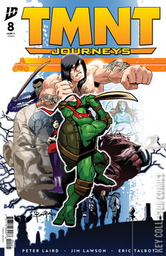 Variant Cover for Teenage Mutant Ninja Turtles: Journeys #8