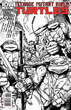Variant Cover for Teenage Mutant Ninja Turtles #3