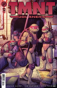 Variant Cover for Teenage Mutant Ninja Turtles: Journeys #12
