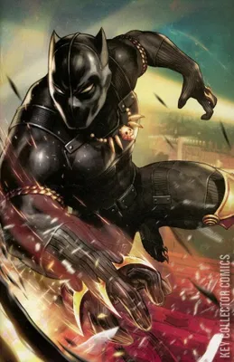 Black Panther and the Agents of Wakanda