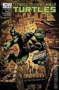 Teenage Mutant Ninja Turtles #27