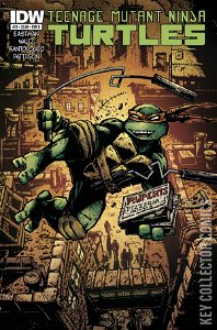 Teenage Mutant Ninja Turtles #27