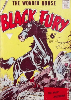 Black Fury
