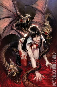 Vengeance of Vampirella #17