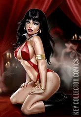 Variant Cover for Vampirella #14