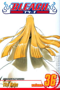 Bleach #36