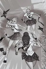 Cover for Ninjettes #1