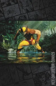 Wolverine #22