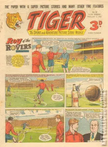 Tiger #22