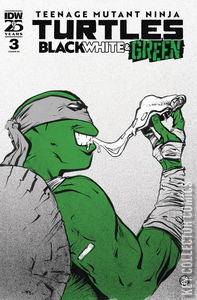 Teenage Mutant Ninja Turtles: Black, White & Green #3