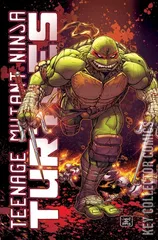Variant Cover for Teenage Mutant Ninja Turtles #109