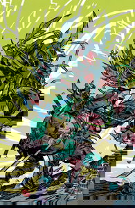 Mighty Morphin Power Rangers / Teenage Mutant Ninja Turtles #5