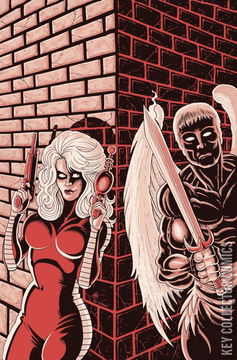 Variant Cover for Barbarella #7