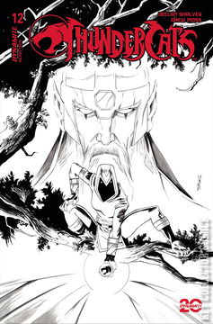 Variant Cover for Thundercats #12