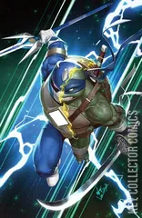 Variant Cover for Mighty Morphin Power Rangers / Teenage Mutant Ninja Turtles #1