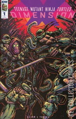 Variant Cover for Teenage Mutant Ninja Turtles: Dimension X #1
