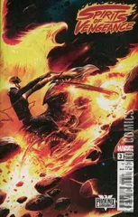 Variant Cover for Spirits of Vengeance #3