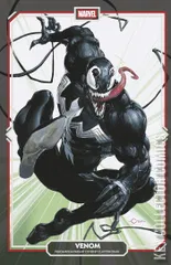 Variant Cover for Venom #253