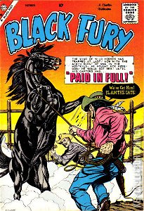 Black Fury #21