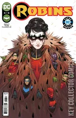 Cover for Robins #6
