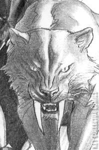 Black Cat #2