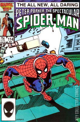 Peter Parker: The Spectacular Spider-Man