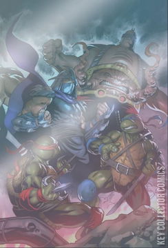 Variant Cover for Teenage Mutant Ninja Turtles: Boxed Set - Torpedo Comics