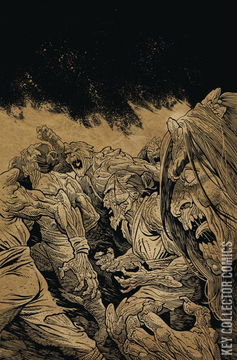 Variant Cover for Ronin Island #6