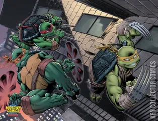 Variant Cover for Teenage Mutant Ninja Turtles #100