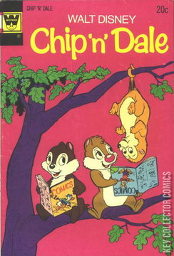 Variant Cover for Chip 'n' Dale #27