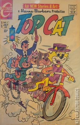 Top Cat