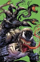 Variant Cover for Venom #25