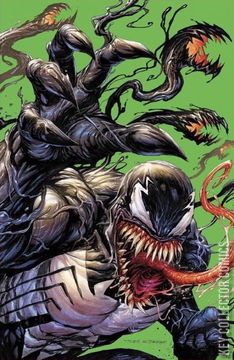 Variant Cover for Venom #25