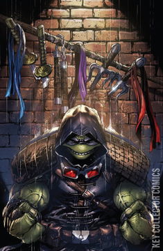 Variant Cover for Teenage Mutant Ninja Turtles: The Last Ronin #5
