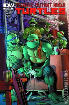 Variant Cover for Teenage Mutant Ninja Turtles #13