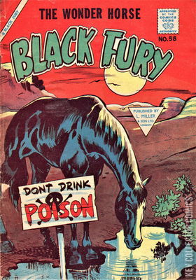 Black Fury