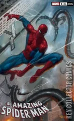 Variant Cover for Amazing Spider-Man #1